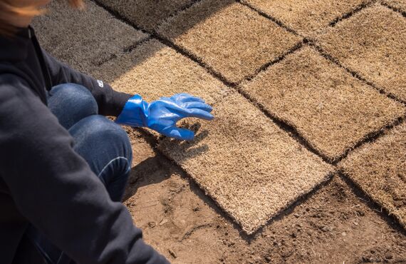 関東で左官工事の仕事に携わりたい方は正社員募集中の業者をご志望ください